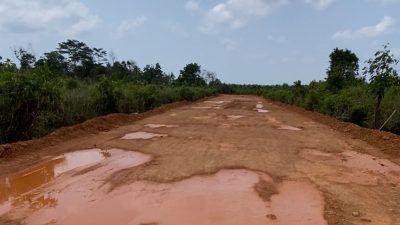 Aktivitas Penimbunan Rawa Di Kawasan Hutan Lindung Sei Jeram Desa Lancang Kuning Dikabarkan Diamankan Polisi