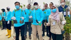 PT BIIE Lakukan Penanaman 5.000 Bibit Mangrove Bagian Aksi Nyata Rekor MURI BRI Tropical Night Run 2026