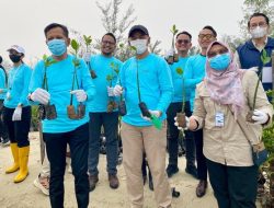 PT BIIE Lakukan Penanaman 5.000 Bibit Mangrove Bagian Aksi Nyata Rekor MURI BRI Tropical Night Run 2026
